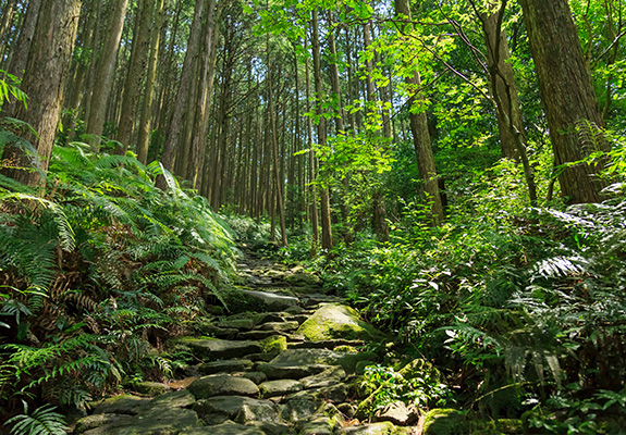 熊野古道